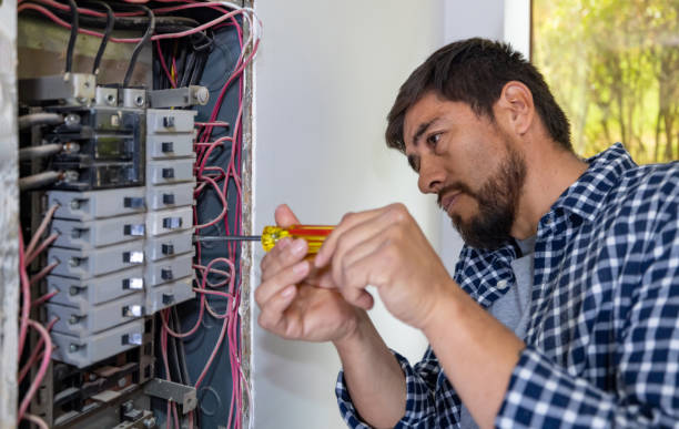 Best Local Electrician Companies  in Oneonta, NY